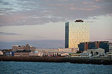 喵星人看《迷失》成为Twitter上的趋势